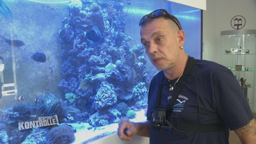Aquariumexperte im Einsatz