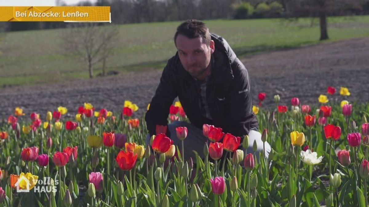 Bei Abzocke Lenßen: Dreister Blumen-Diebstahl