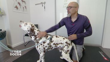Wenn Physio und Patient einen echten Draht haben