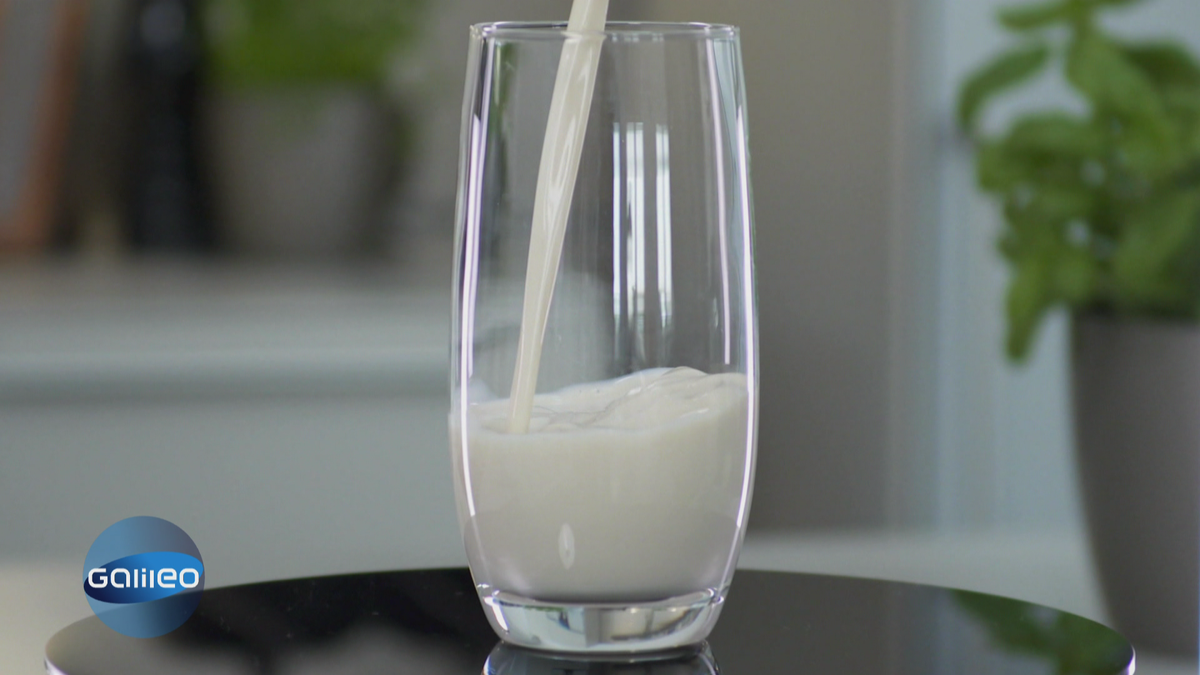 Milch aus Salat statt von der Kuh