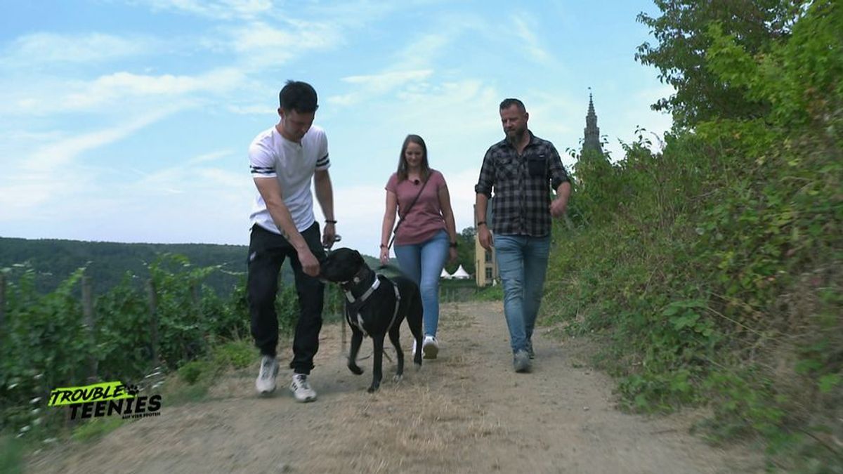 So nimmt dein Hund Blickkontakt zu dir auf