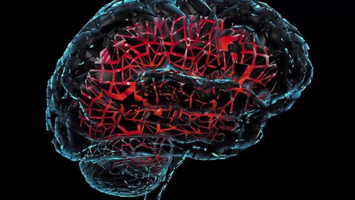 Wissenschaftler züchten menschliche Mini-Gehirne - und die machen sich jetzt selbstständig