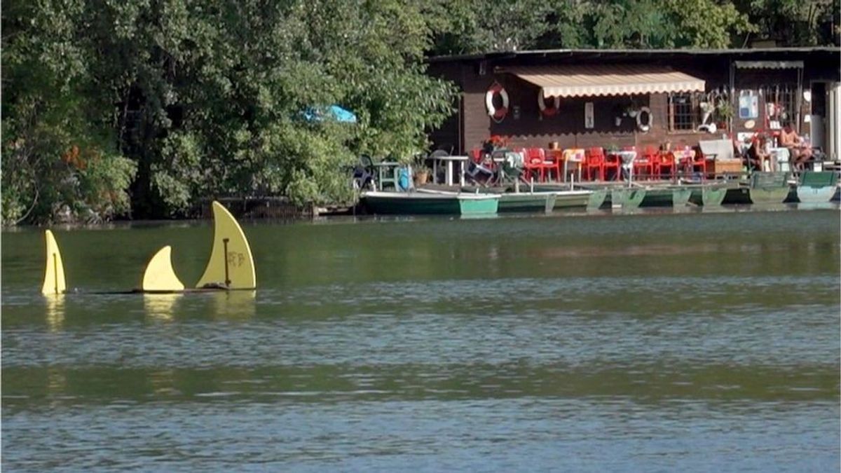 Berliner Behörde warnt vor Haien in See