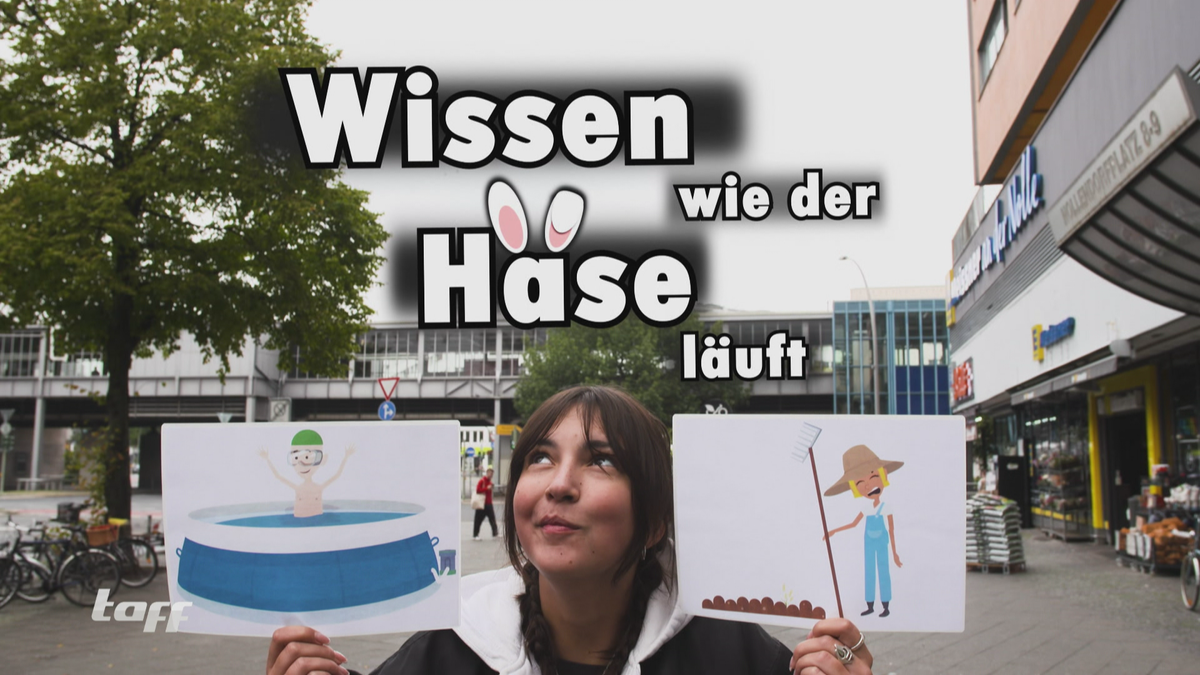 Wissen wie der Hase läuft: Wer errät die richtigen Redewendungen? (Folge 1)