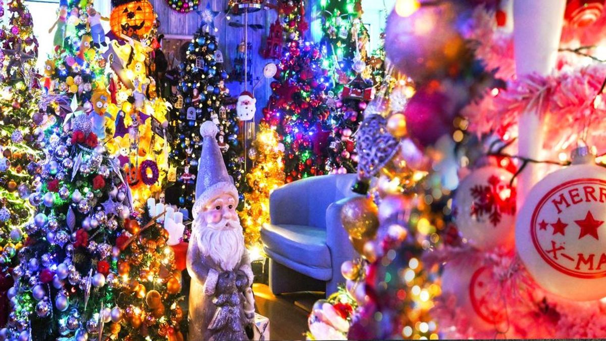 600 Weihnachtsbäume in einem Haus