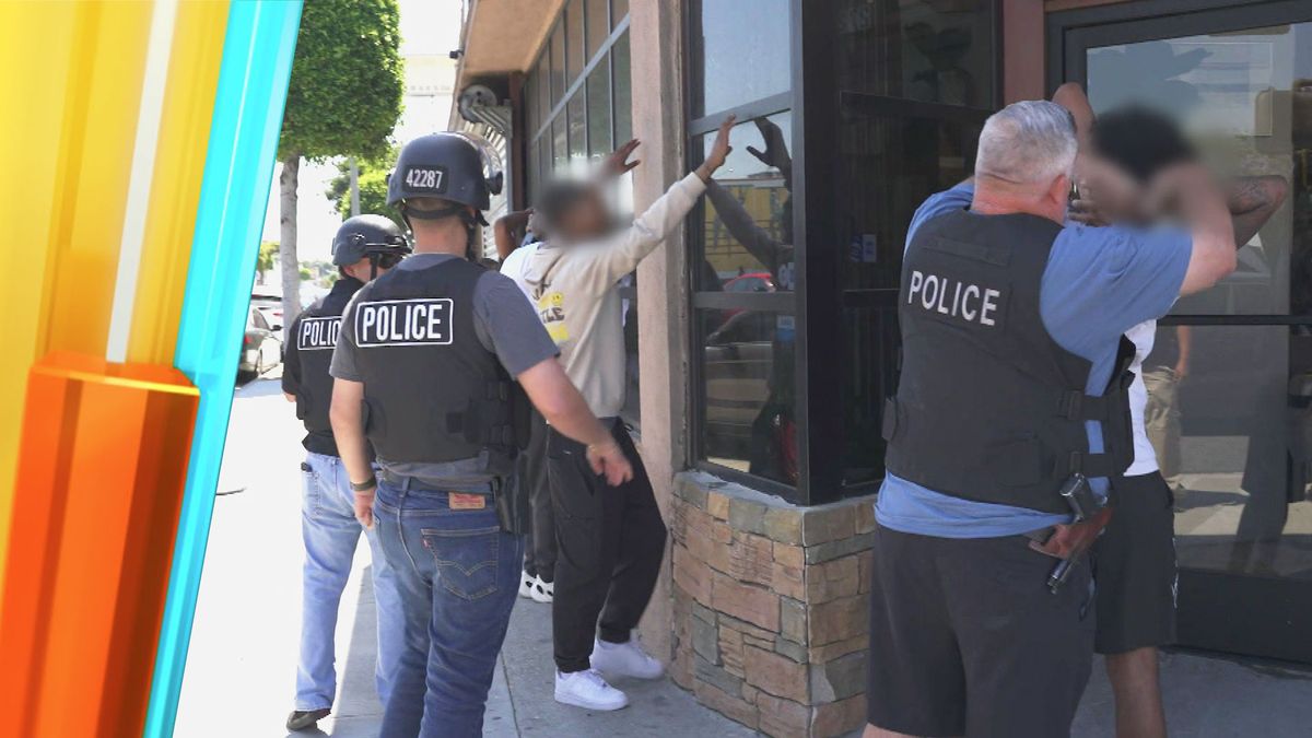 Unterwegs mit der Task-Force gegen Flashmob-Überfälle in Los Angeles