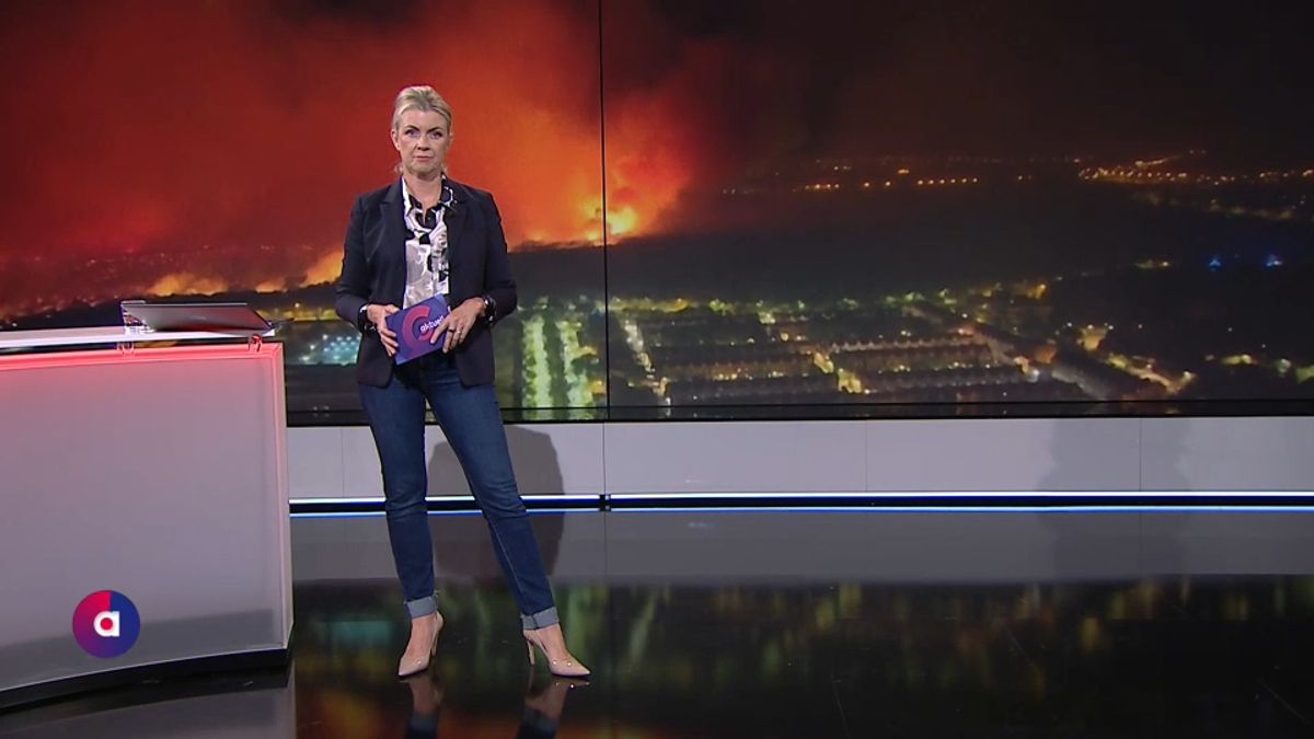 ATV Aktuell vom 12.08.2025