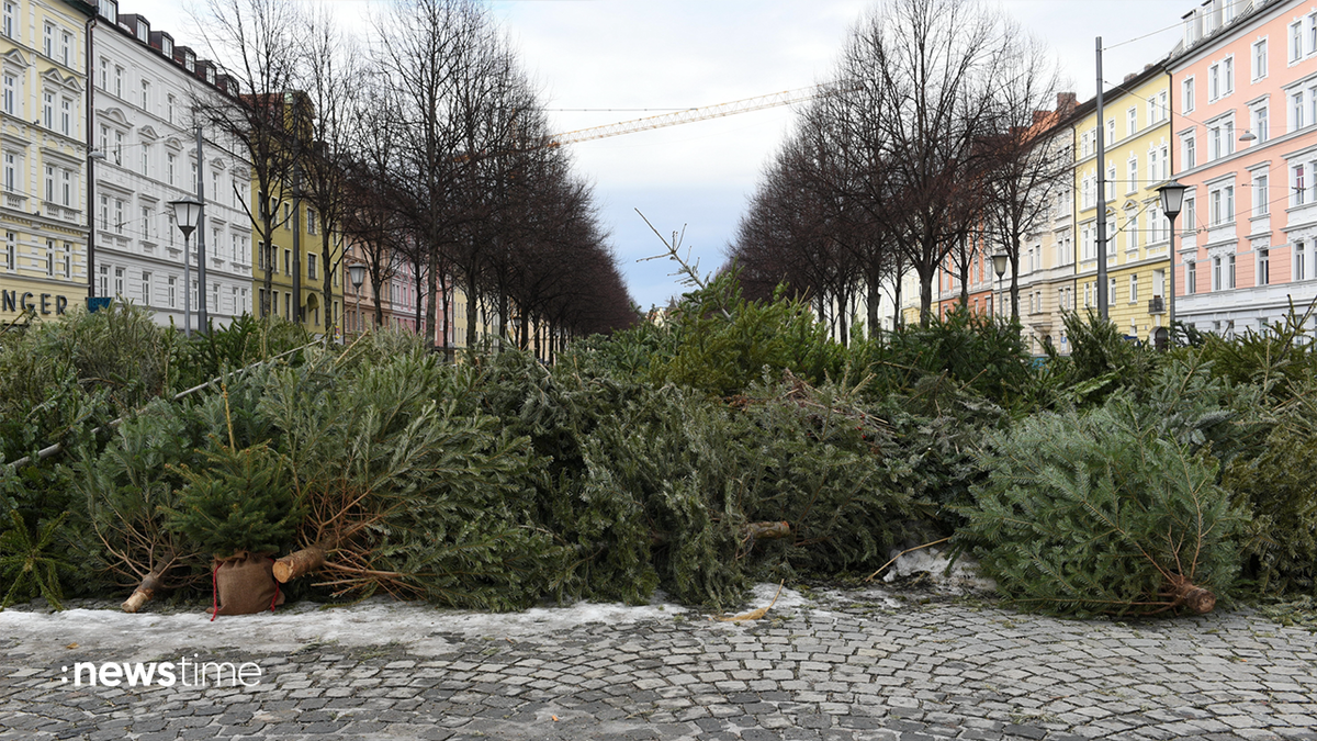 Nach Weihnachten: So wird man den Christbaum wieder los