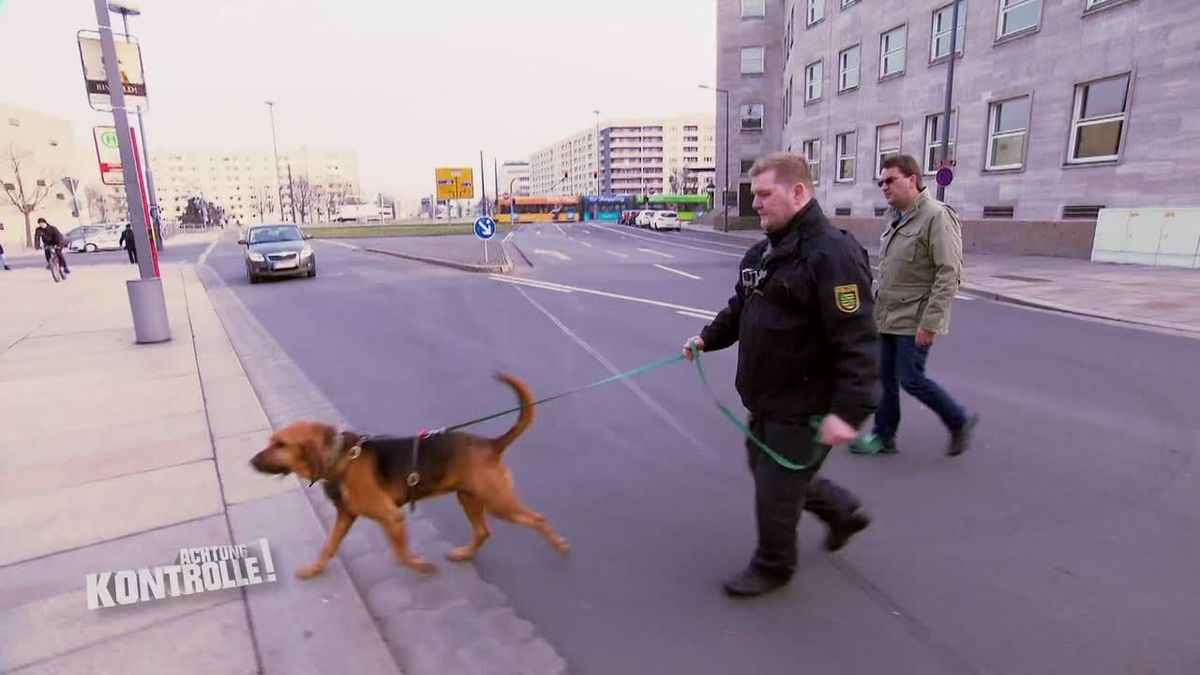 Achtung Kontrolle! Einsatz für die Ordnungshüter