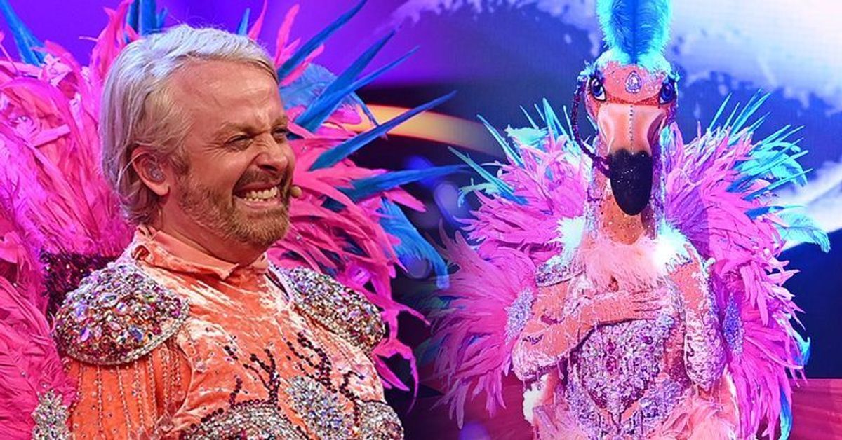 "The Masked Singer": Ross Antony bricht als Flamingo in Tränen aus