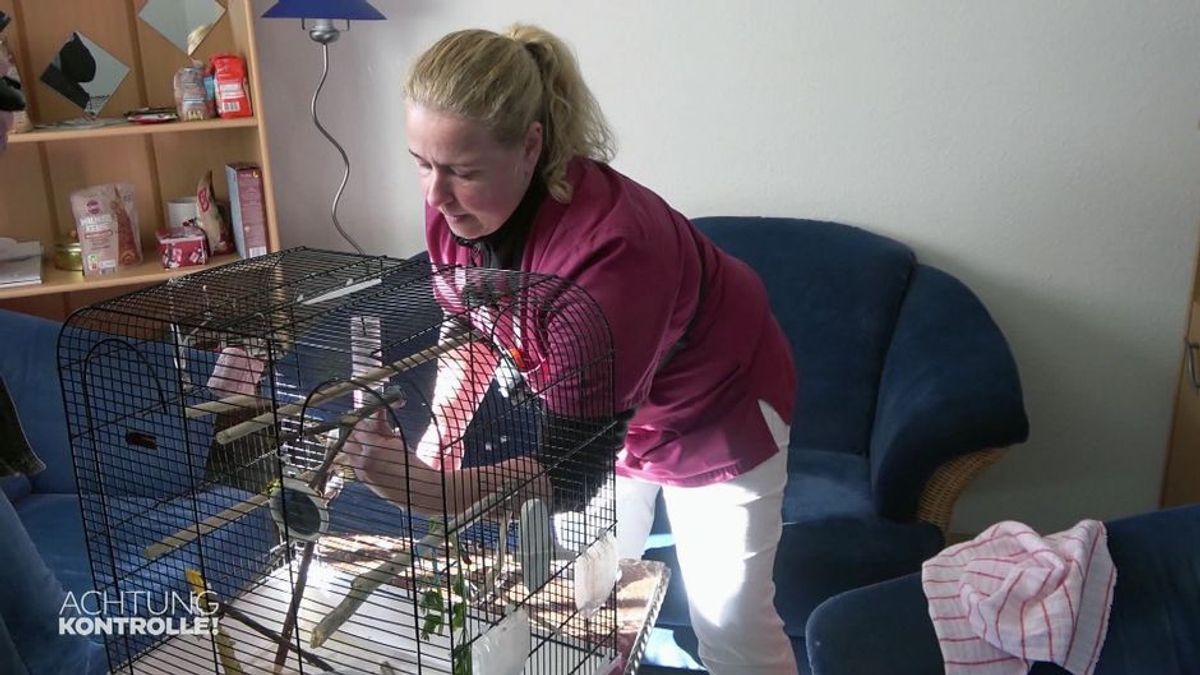 Thema u.a.: Widerspenstige Wellensittiche – Mobile Tierärztin Erfurt