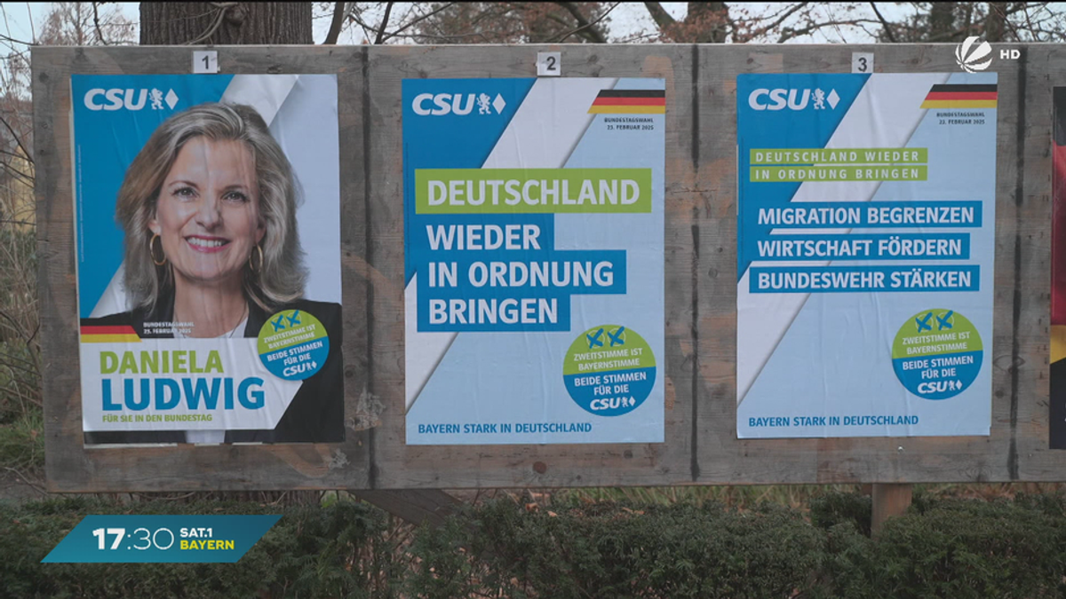 Wahlplakate vor Bundestagswahl: Veraltet oder noch wirksam?