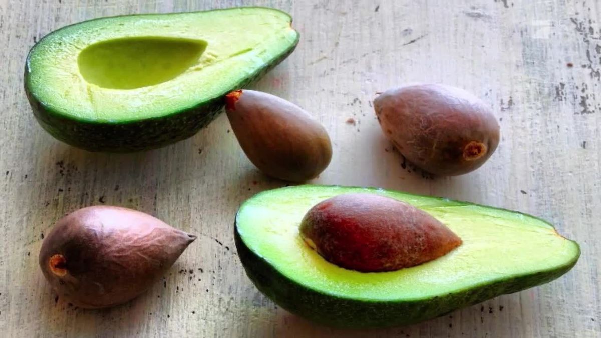 So lasst ihr eine harte Avocado blitzschnell nachreifen