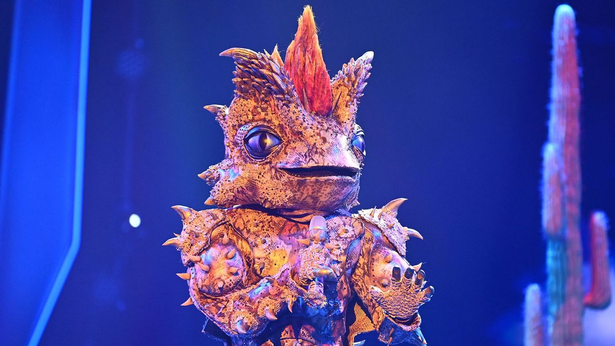 The Masked Singer