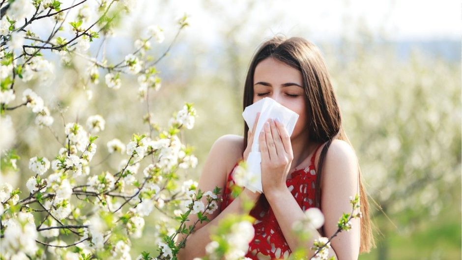 Studie AllergieSaison wird durch weit transportierte Pollen