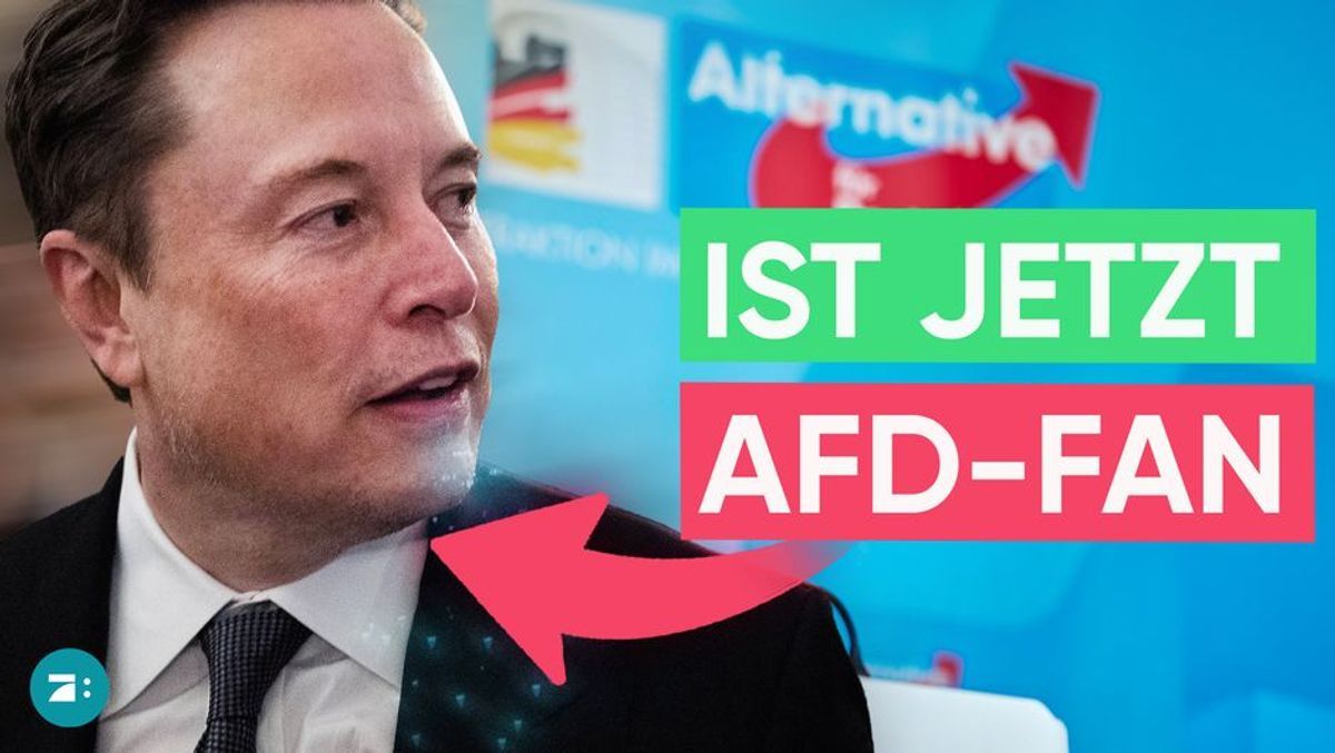 Elon Musk wirbt für AfD