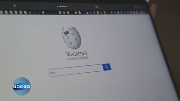 Deconstructed Wikipedia: Wie mächtig ist das größte Online-Lexikon der Welt?
