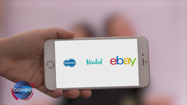 eBay und Co verpetzen ans Finanzamt?!