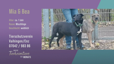 Sportliche Schwestern: Mia und Bea