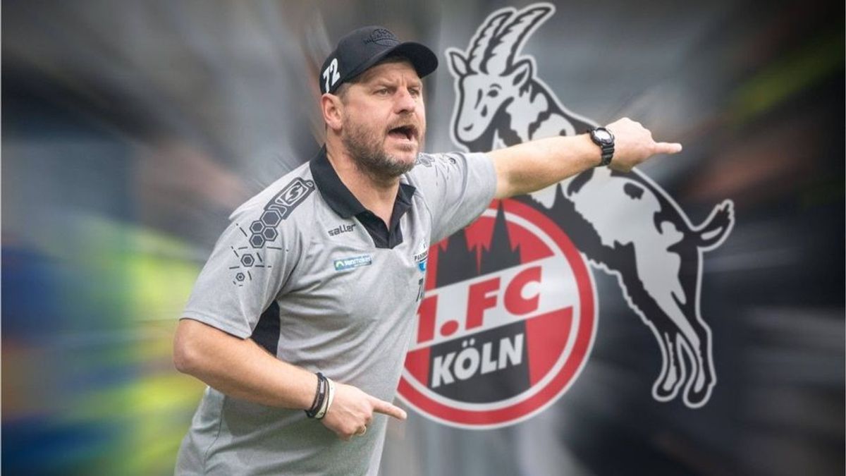 Steffen Baumgart wird neuer Trainer des 1. FC Köln