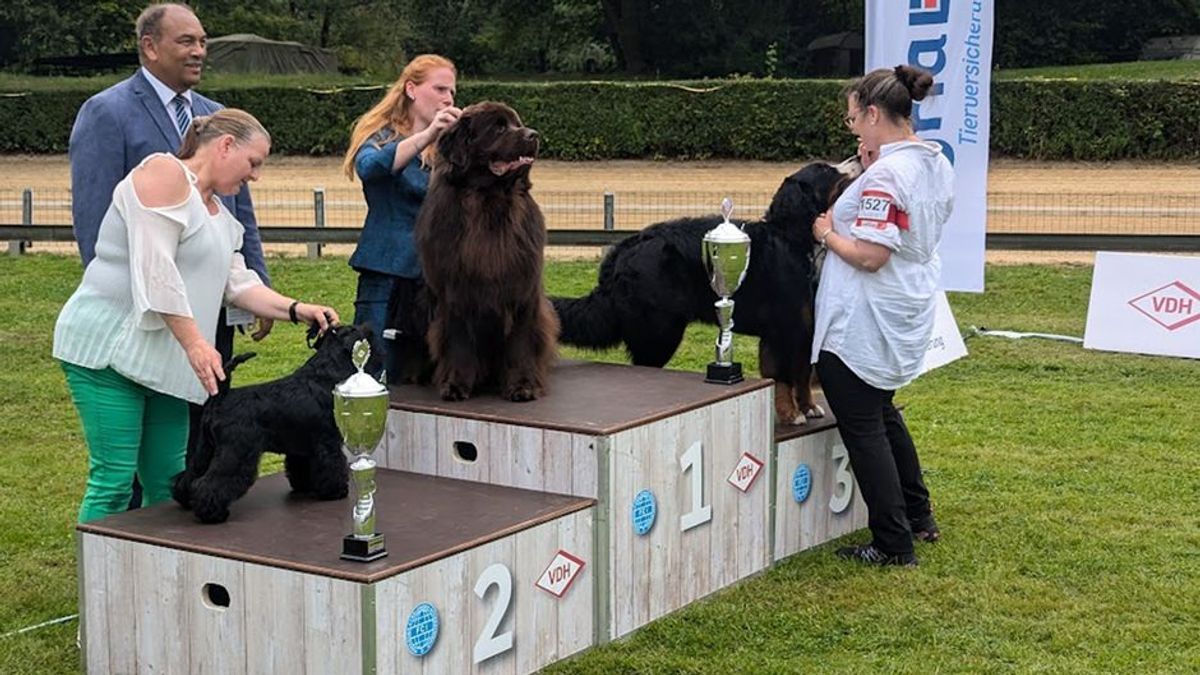 Deutschlands schönste Hunde - Hunde-Richter, Gelsenkirchen