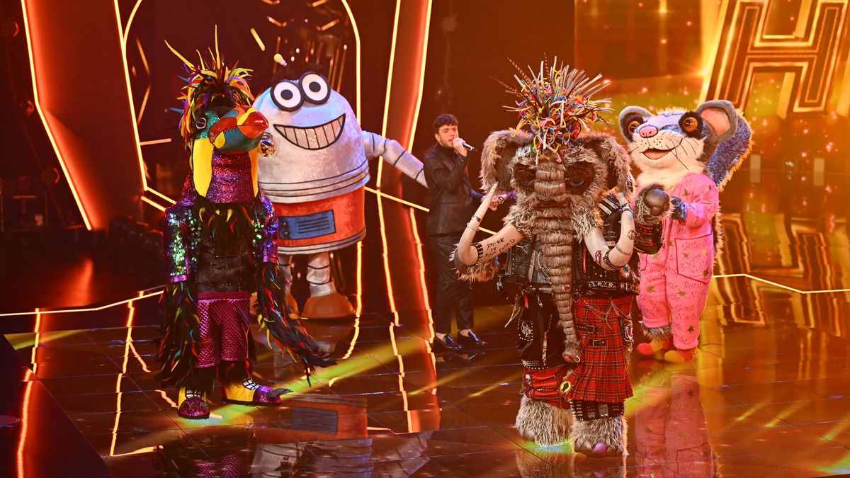 Die heldenhafte Reise der Masked Singer Finalisten